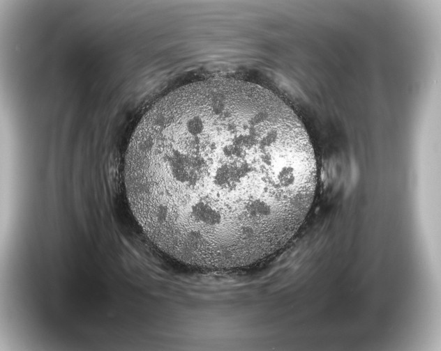 X0000087010867200704301416