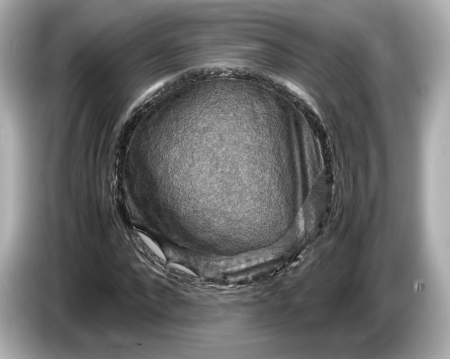 X0000087010872200704301416