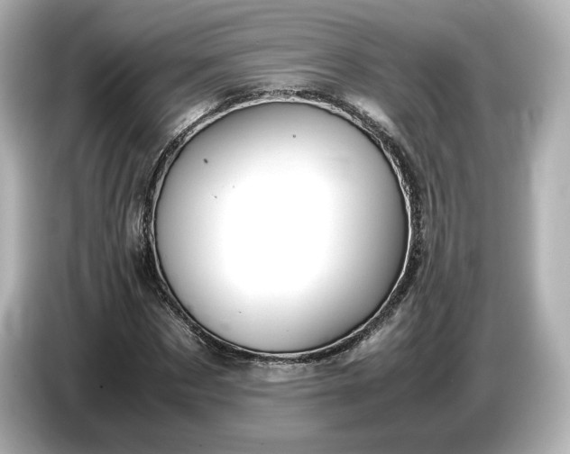 X0000087010873200704301416