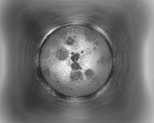 X0000087010875200704301415