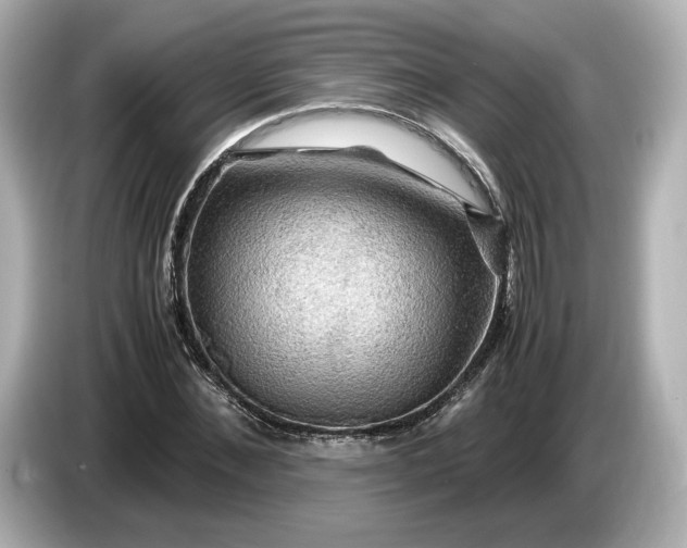 X0000087010876200704301415