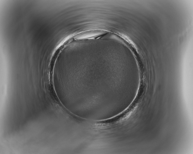 X0000087010877200704301415