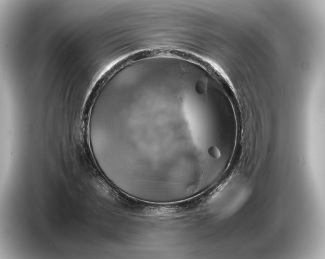 X0000087010879200704301415