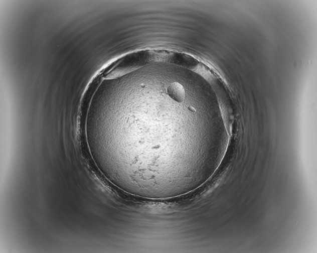 X0000087010880200704301415