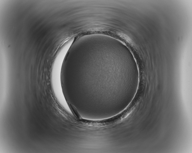 X0000087010881200704301415