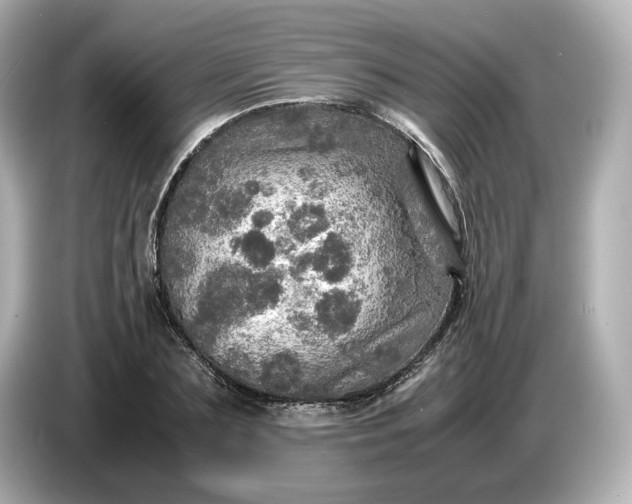 X0000087010883200704301415