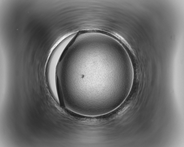 X0000087010885200704301415