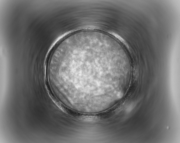 X0000087010886200704301415