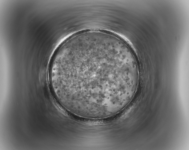 X0000087010887200704301415