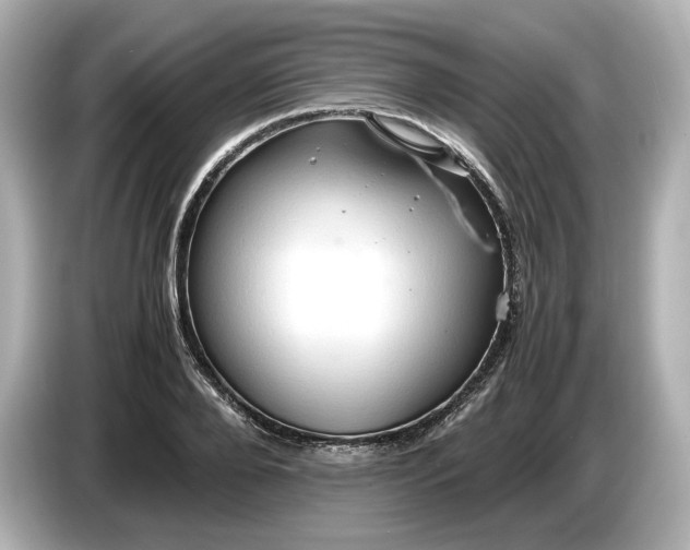 X0000087010888200704301415