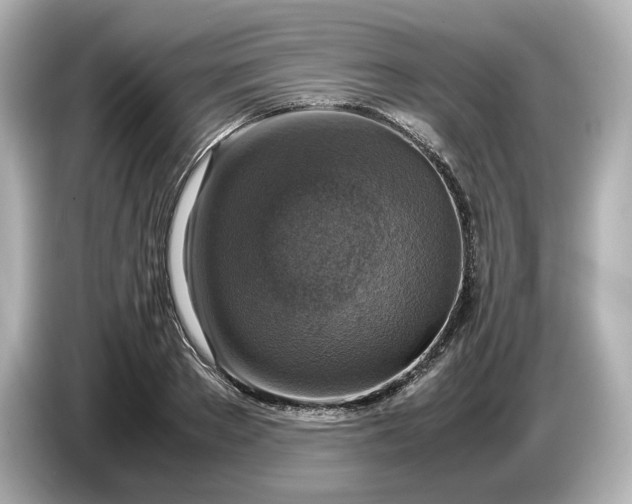 X0000087010889200704301415