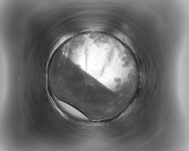 X0000087010890200704301415