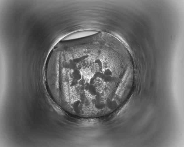 X0000087010891200704301415