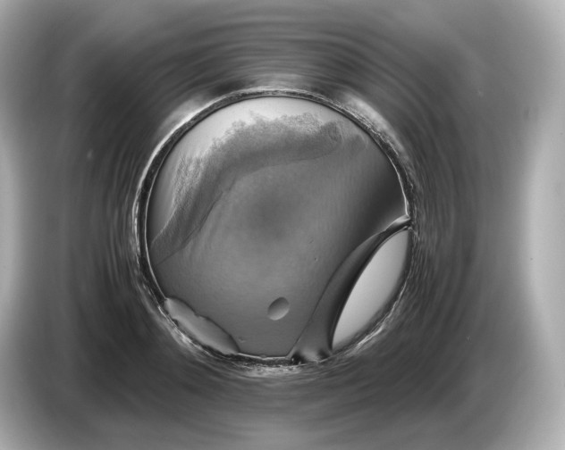 X0000087010892200704301415