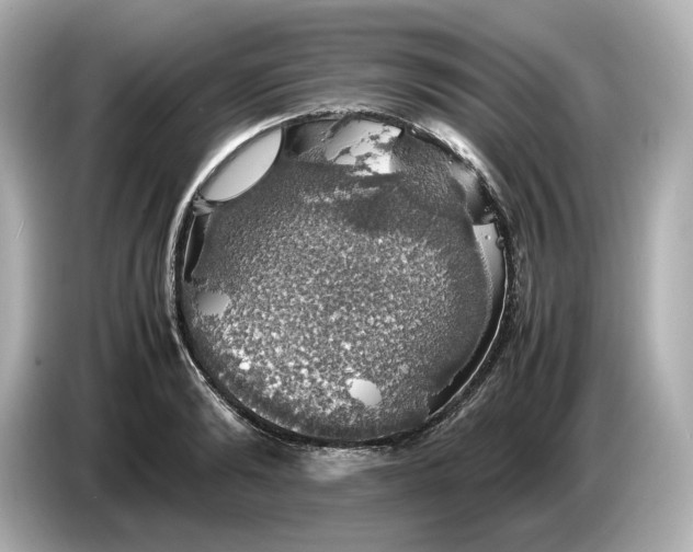 X0000087010894200704301415