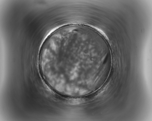 X0000087010895200704301415