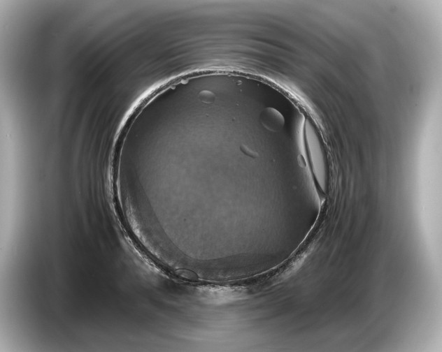 X0000087010896200704301415