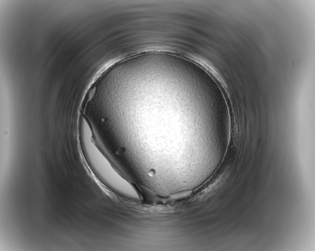 X0000087010898200704301415