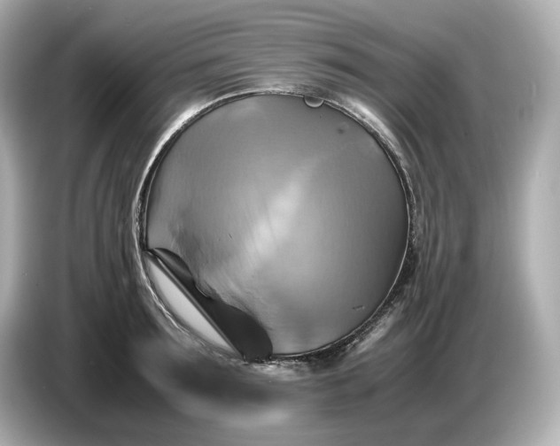 X0000087010899200704301415