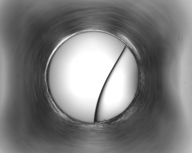 X0000087010900200704301415