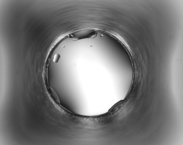 X0000087010901200704301415