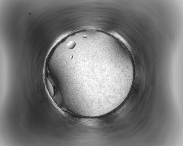 X0000087010902200704301415