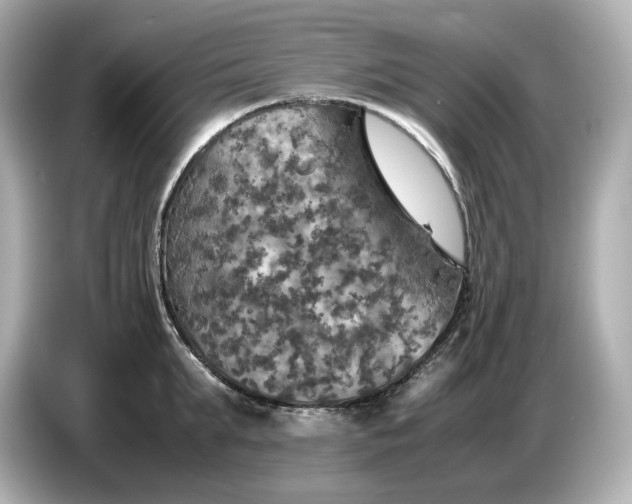 X0000087010903200704301415