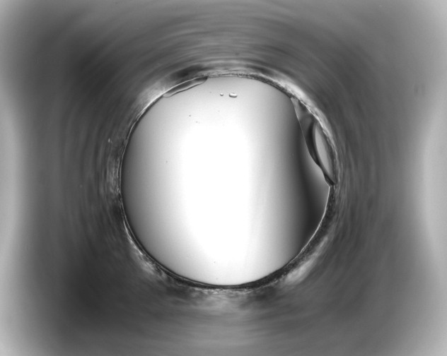 X0000087010905200704301415