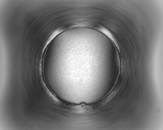 X0000087010906200704301415