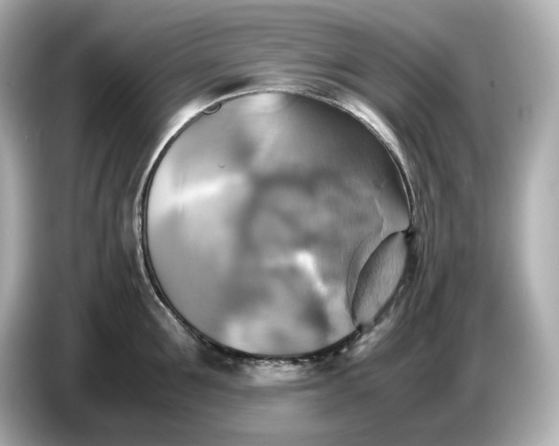 X0000087010907200704301415