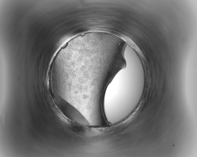 X0000087010908200704301415