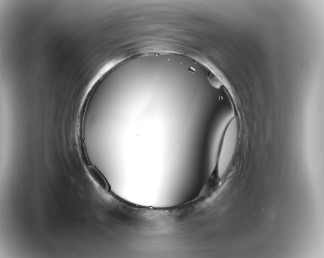 X0000087010909200704301415