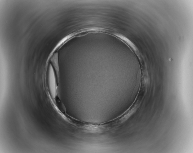 X0000087010910200704301415