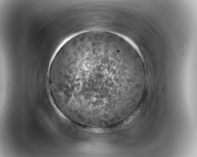 X0000087010911200704301415