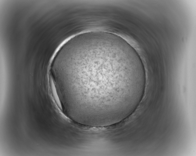 X0000087010912200704301415