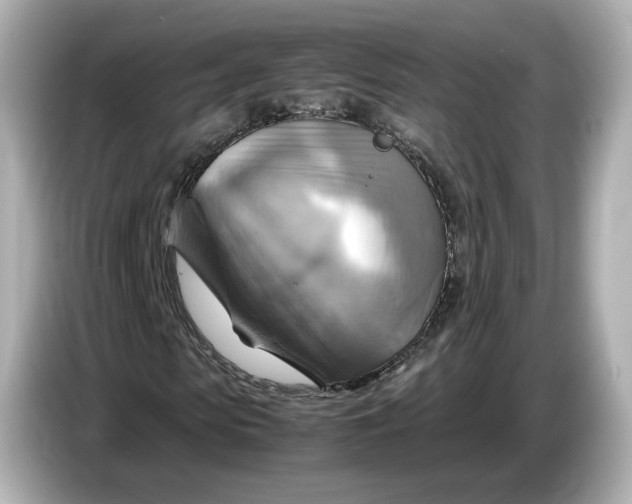 X0000087010913200704301414