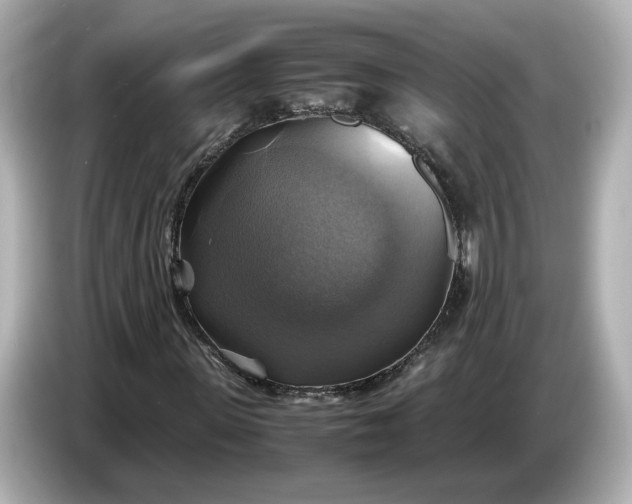 X0000087010915200704301414