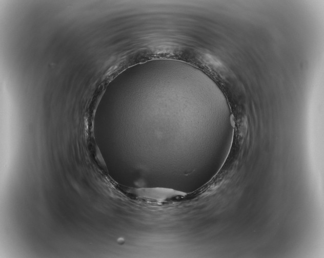 X0000087010916200704301414