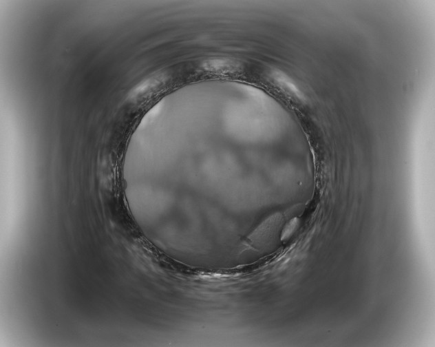 X0000087010917200704301414