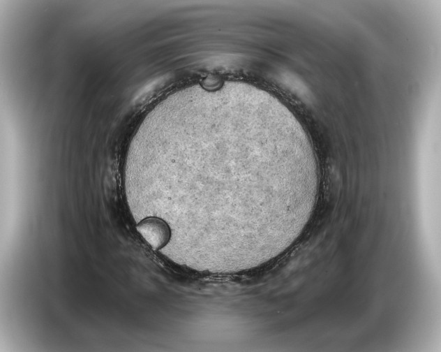 X0000087010918200704301414