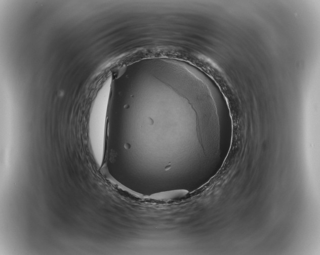 X0000087010919200704301414