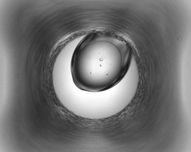 X0000087010920200704301414