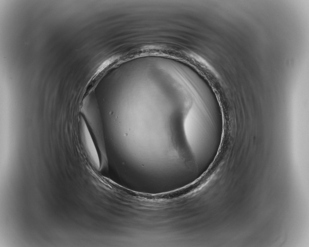 X0000087010921200704301414