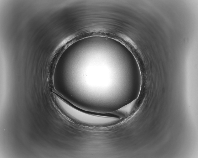 X0000087010922200704301415