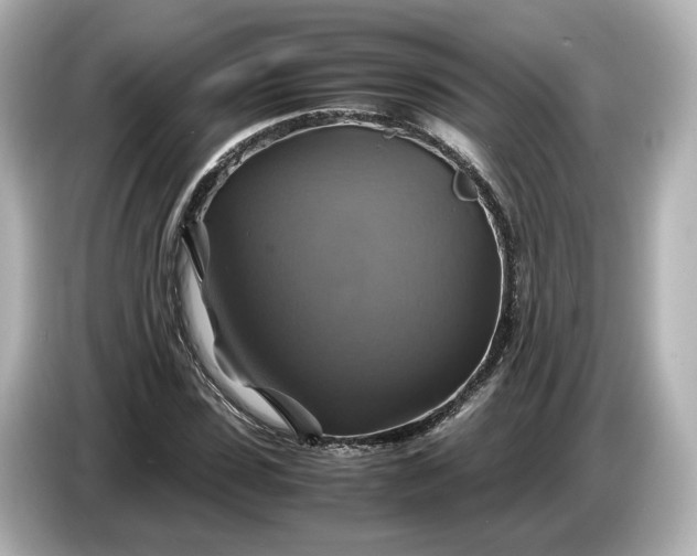 X0000087010923200704301415