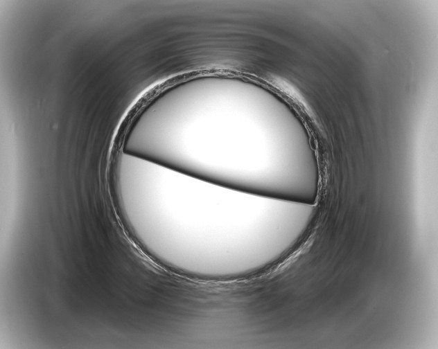 X0000087010924200704301415