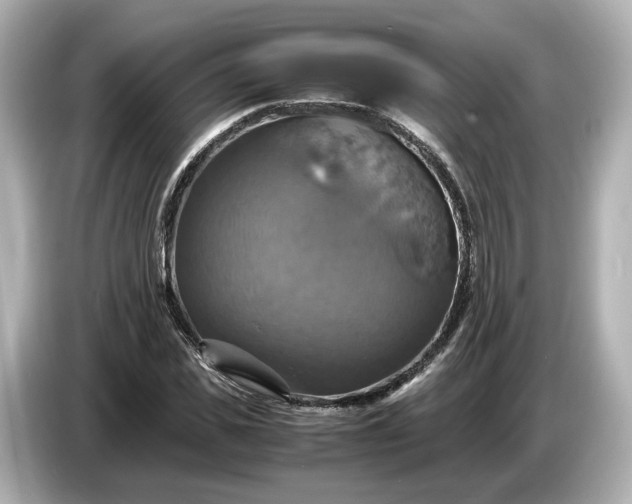 X0000087010925200704301415