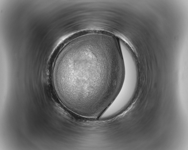 X0000087010926200704301415