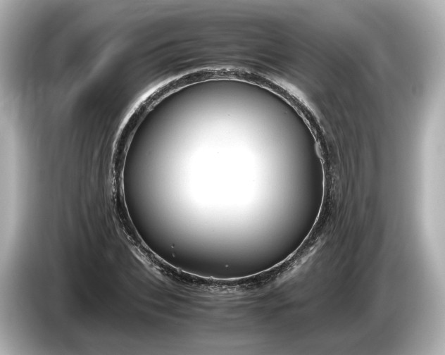 X0000087010927200704301415