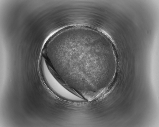 X0000087010928200704301415